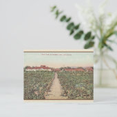 ヴィンテージアスティカリフォルニアワインセラーズポストカード ポストカード (スタンド正面)