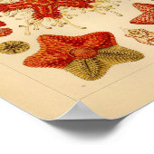 ヴィンテージアステリア科カラーエルンストヘッケルアートプリント ポスター (角)