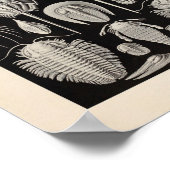 ヴィンテージアスピドニアカラーエルンストヘッケルアートプリント ポスター (角)