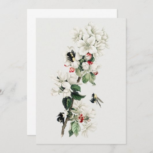 ヴィンテージアップルブロッサムイラストレーション 招待状 (正面/裏面)