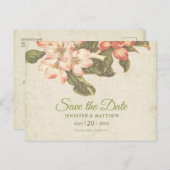 ヴィンテージアップル結婚ブロッサム |日付の保存 ポストカード (正面/裏面)