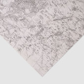 ヴィンテージアディロンダックスの地図 薄葉紙 (詳細)