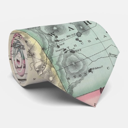 ヴィンテージアディロンダック山脈の地図(1879年) 2 ネクタイ (ロール)