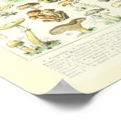 ヴィンテージアドルフェミロプリントマッシュルームポスター2 ポスター (角)