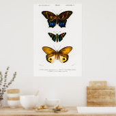 ヴィンテージアニマルプリントのポスター ポスター (キッチン)