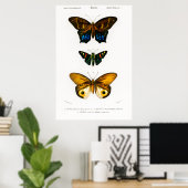 ヴィンテージアニマルプリントのポスター ポスター (ホームオフィス)