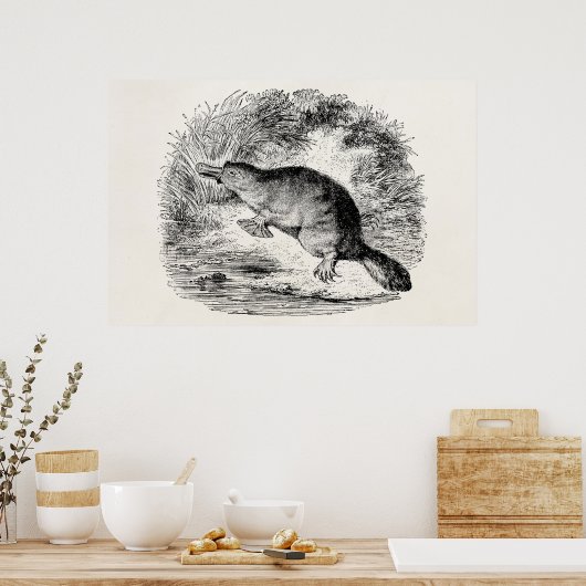 ヴィンテージアヒルのハシのパーソナライズされた動物 ポスター (キッチン)