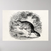 ヴィンテージアヒルのハシのパーソナライズされた動物 ポスター (正面)