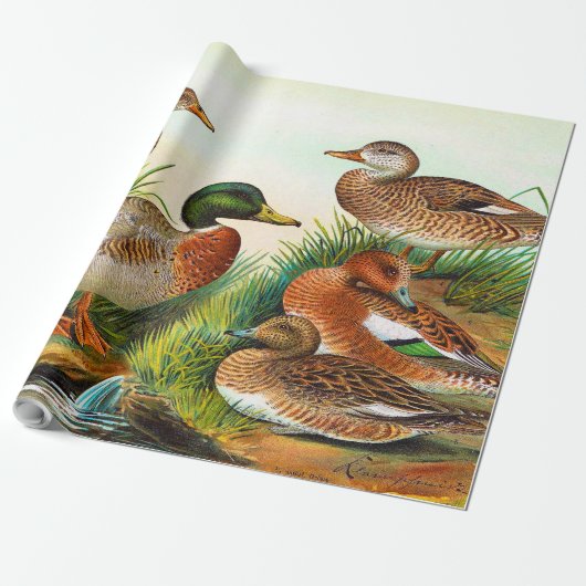 ヴィンテージアヒルの池で3デコパージュ ラッピングペーパー (アンロールド)