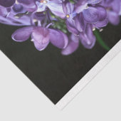 ヴィンテージアフリカ系アメリカ人の女性デコパージュ 薄葉紙 (詳細)