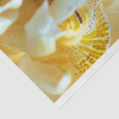 ヴィンテージアフリカ系アメリカ人の女性デコパージュ 薄葉紙 (詳細)