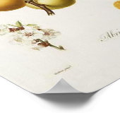 ヴィンテージアプリコットポスター ポスター (角)