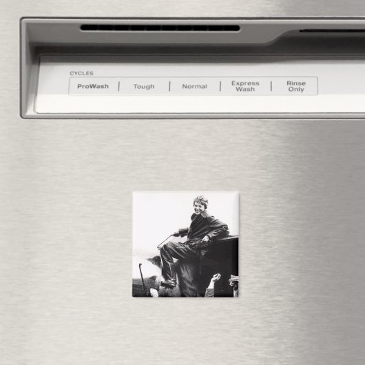 ヴィンテージアメリアアーハート写真 マグネット (インサイチュ (食洗機))