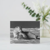 ヴィンテージアメリカのアラスカの母のホッキョクグマ ポストカード (スタンド正面)