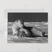 ヴィンテージアメリカのアラスカの母のホッキョクグマ ポストカード (正面/裏面)