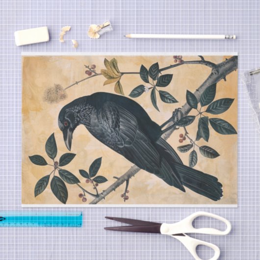 ヴィンテージアメリカクロウイラストレーションデクページ 薄葉紙 (クラフト)