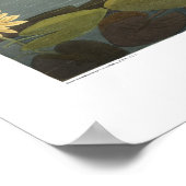 ヴィンテージアメリカズスワン・アウドゥボンアート ポスター (角)