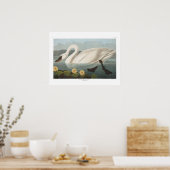 ヴィンテージアメリカズスワン・アウドゥボンアート ポスター (キッチン)