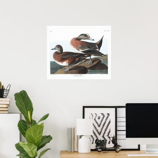 ヴィンテージアメリカンウィドジョンオードボンポスター ポスター (ホームオフィス)