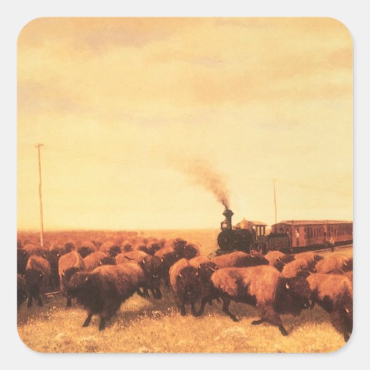 ヴィンテージアメリカンウェストNHトロッターで開催 スクエアシール (正面)