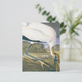 ヴィンテージアメリカンストークバイジョンジェームズオードボン ポストカード (スタンド正面)