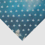 ヴィンテージアメリカンロビン愛国的なフローラデコパージュ 薄葉紙 (詳細)