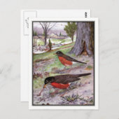 ヴィンテージアメリカンロビン – ロバート・ブルース・ホルスフォール ポストカード (正面/裏面)