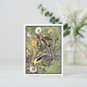 ヴィンテージアメリカン・ゴールドフィンチ – ロバート・ブルース・ホースフォール ポストカード (スタンド正面)