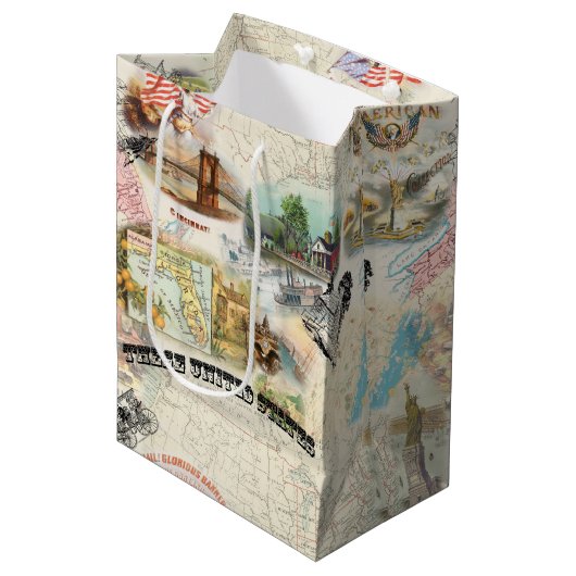 ヴィンテージアメリカーナ ミディアムペーパーバッグ (正面アングル)