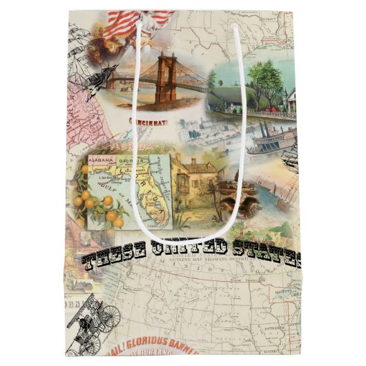 ヴィンテージアメリカーナ ミディアムペーパーバッグ (裏面)