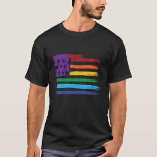 ヴィンテージアメリカ国旗レインボーUSAレズビアンゲイLGBT Tシャツ