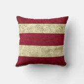 ヴィンテージアメリカ国旗星条旗 クッション (裏面)