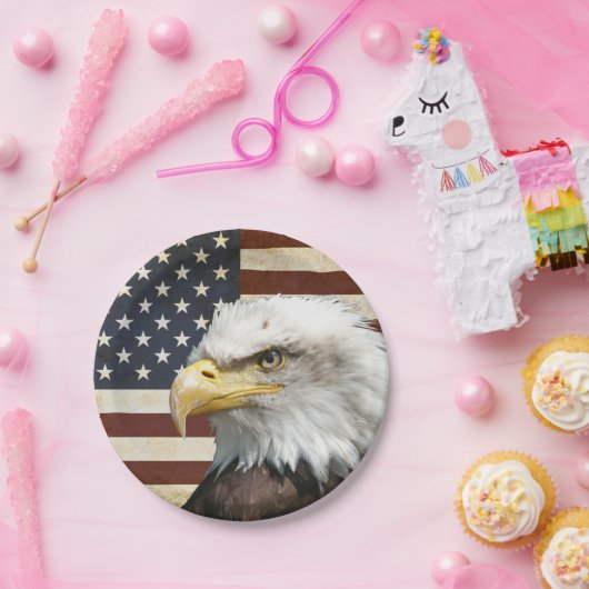 ヴィンテージアメリカ国旗、ハゲ・イーグル、家族懇親会 ペーパープレート (パーティー)