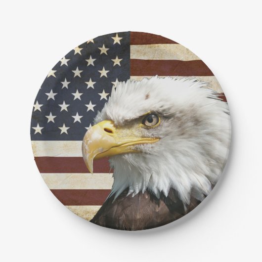 ヴィンテージアメリカ国旗、ハゲ・イーグル、家族懇親会 ペーパープレート (正面)