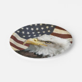 ヴィンテージアメリカ国旗、ハゲ・イーグル、家族懇親会 ペーパープレート (アングル)
