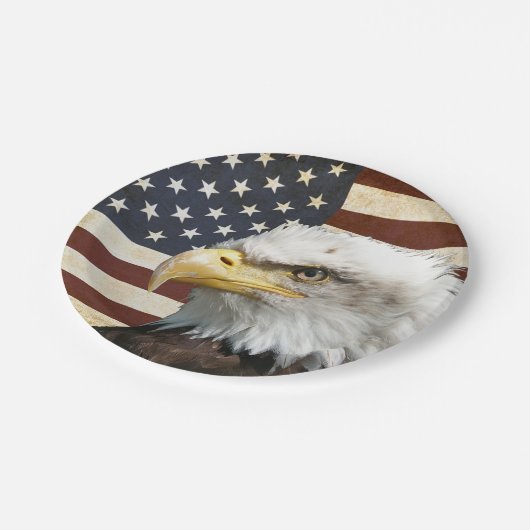 ヴィンテージアメリカ国旗、ハゲ・イーグル、家族懇親会 ペーパープレート (アングル)