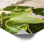 ヴィンテージアメリカ車のピックアップ ポスター (角)