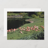 ヴィンテージアメリカ風景葉書 ポストカード (正面/裏面)