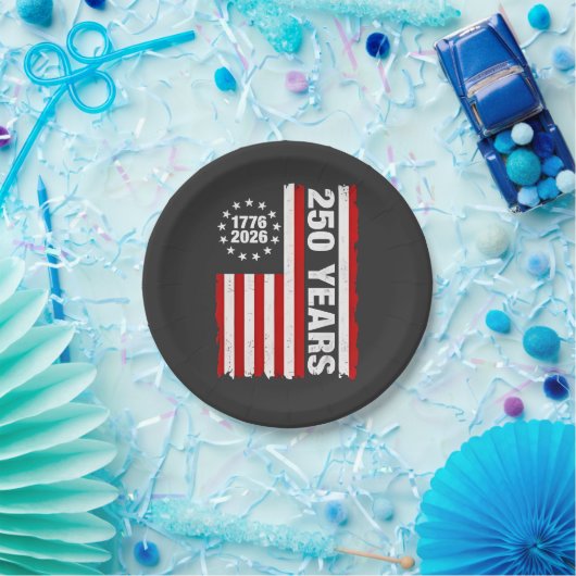ヴィンテージアメリカ100周年記念250周年 ペーパープレート (パーティー)