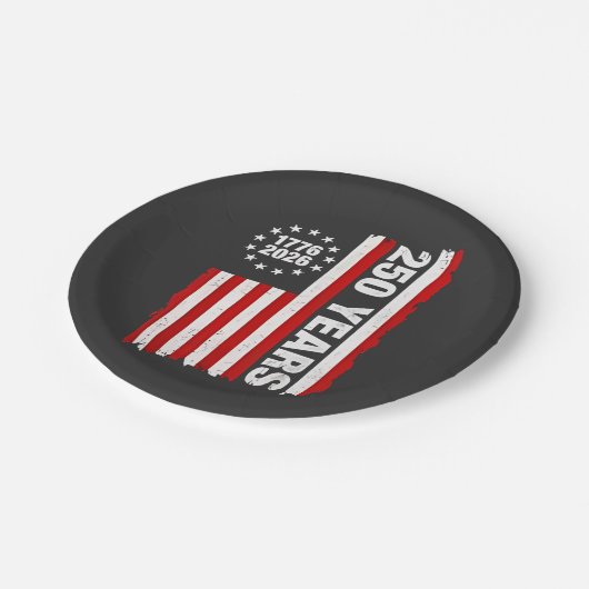 ヴィンテージアメリカ100周年記念250周年 ペーパープレート (アングル)