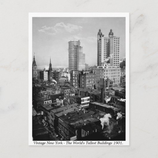 ヴィンテージアメリカ、ニューヨーク市1901 ポストカード (正面)