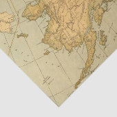 ヴィンテージアラスカの地図（1894年） 薄葉紙 (詳細)