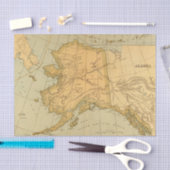 ヴィンテージアラスカの地図（1894年） 薄葉紙 (クラフト)