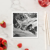 ヴィンテージアラスカ・エスキモー・マラムート1970年レース スタンダードカクテルナプキン (インサイチュ)