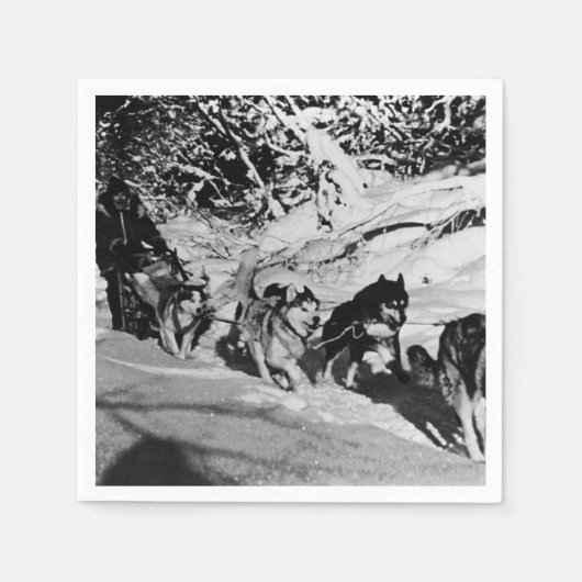 ヴィンテージアラスカ・エスキモー・マラムート1970年レース スタンダードカクテルナプキン (正面)