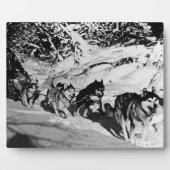 ヴィンテージアラスカ・エスキモー・マラムート1970年レース フォトプラーク (正面)