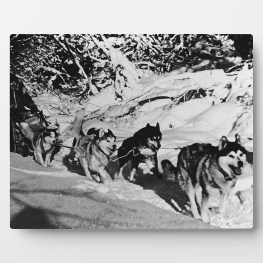 ヴィンテージアラスカ・エスキモー・マラムート1970年レース フォトプラーク (正面)