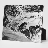 ヴィンテージアラスカ・エスキモー・マラムート1970年レース フォトプラーク (側面)