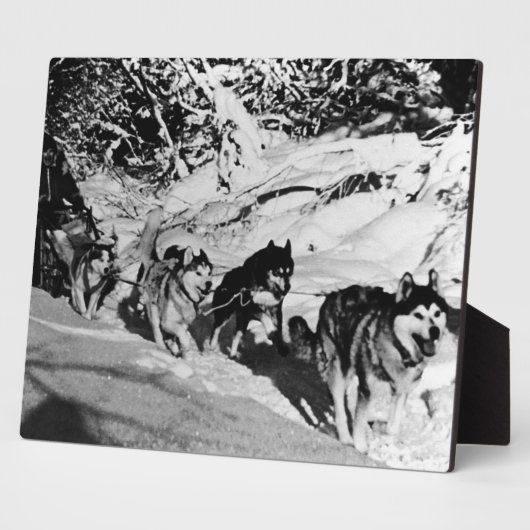 ヴィンテージアラスカ・エスキモー・マラムート1970年レース フォトプラーク (側面)