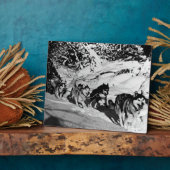 ヴィンテージアラスカ・エスキモー・マラムート1970年レース フォトプラーク (側面)